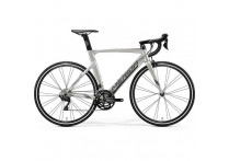 Велосипед Merida Reacto 400 SilkTitan/DarkSilver 2020